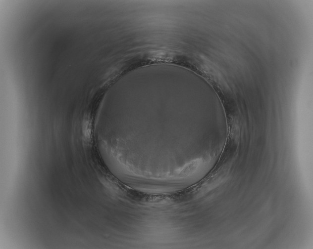 X0000111821154200908061129