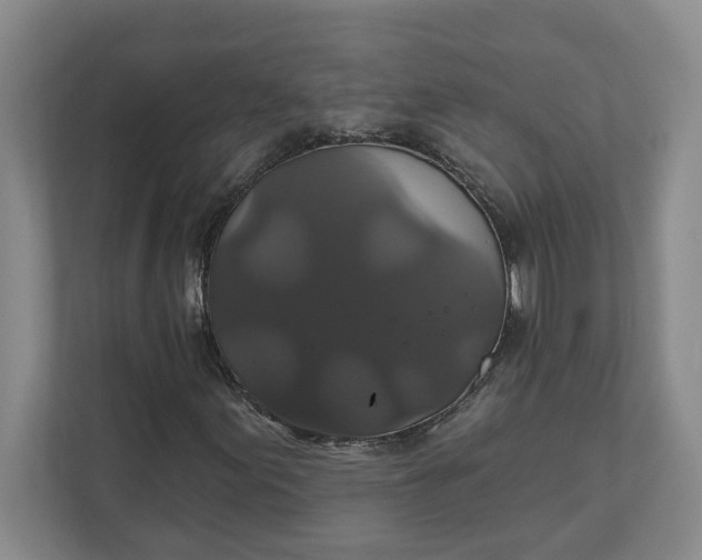 X0000111821155200908061129