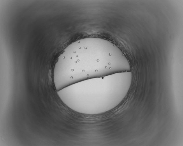 X0000111821156200908061129