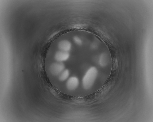 X0000111821158200908061129