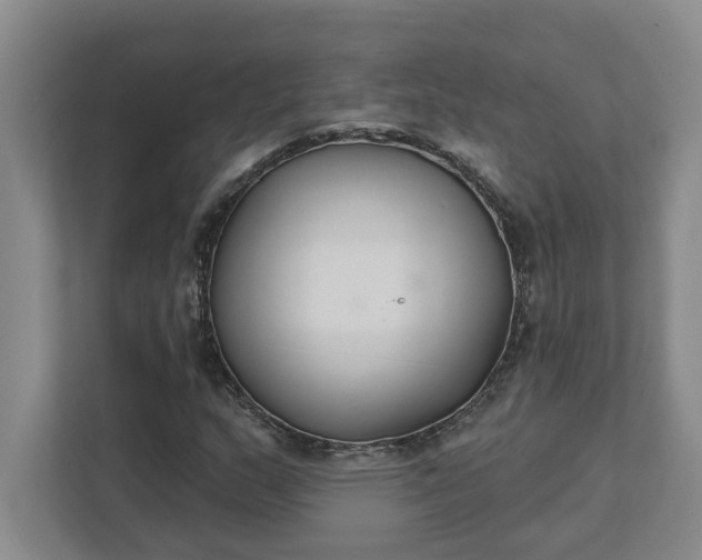 X0000111821159200908061129