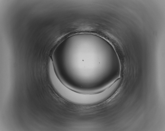 X0000111821161200908061129