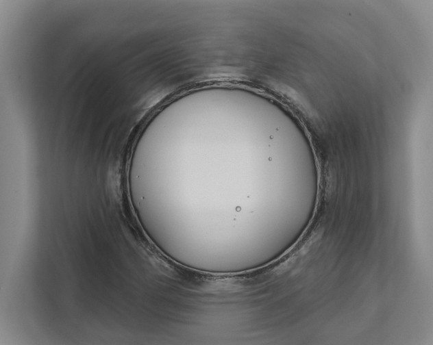 X0000111821162200908061129