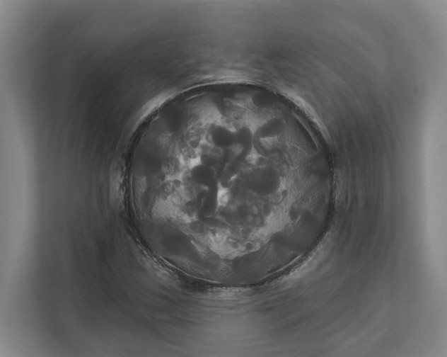 X0000111821163200908061129