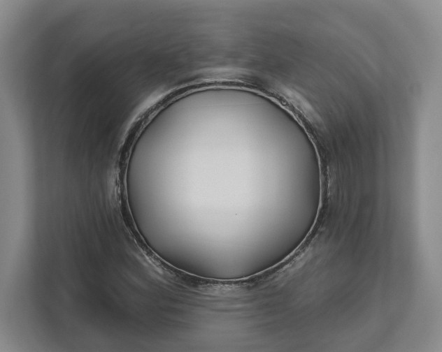 X0000111821164200908061129