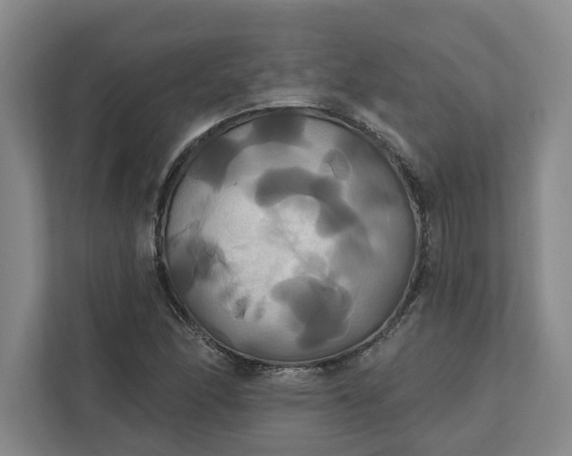 X0000111821166200908061129