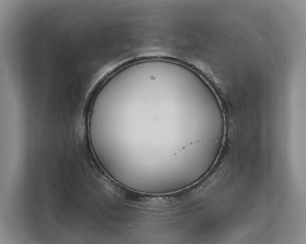 X0000111821167200908061129