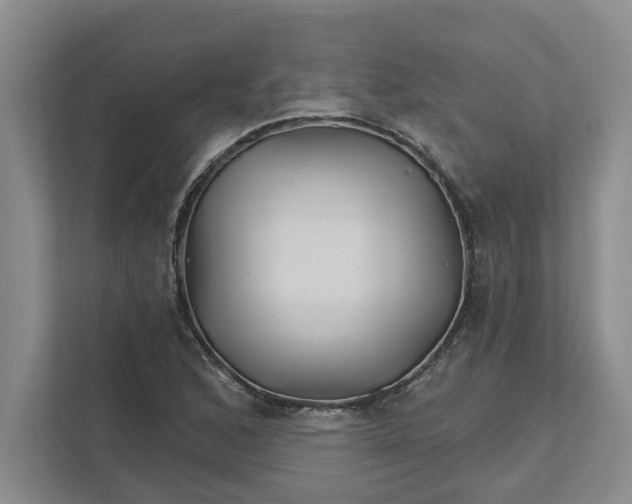 X0000111821168200908061129