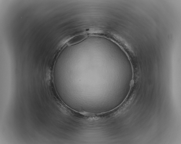 X0000111821169200908061129