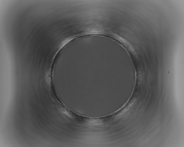 X0000111821170200908061129