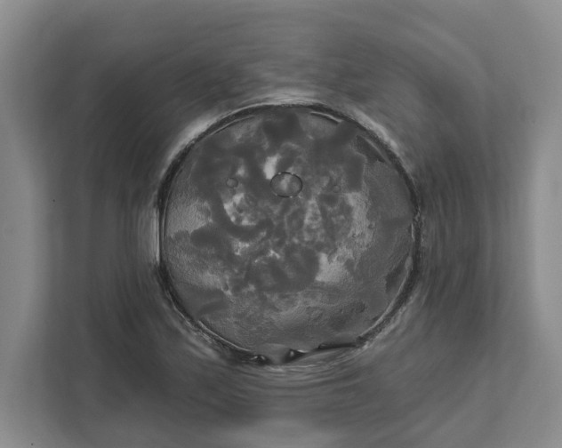 X0000111821171200908061129