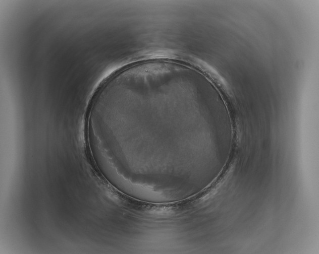 X0000111821174200908061129
