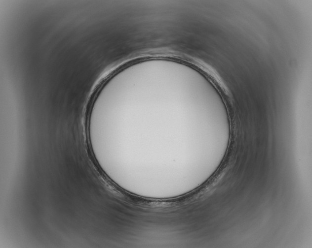 X0000111821176200908061129