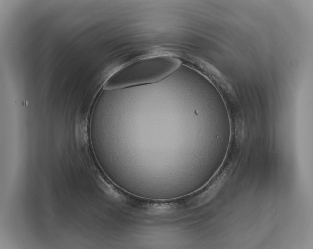 X0000111821177200908061129