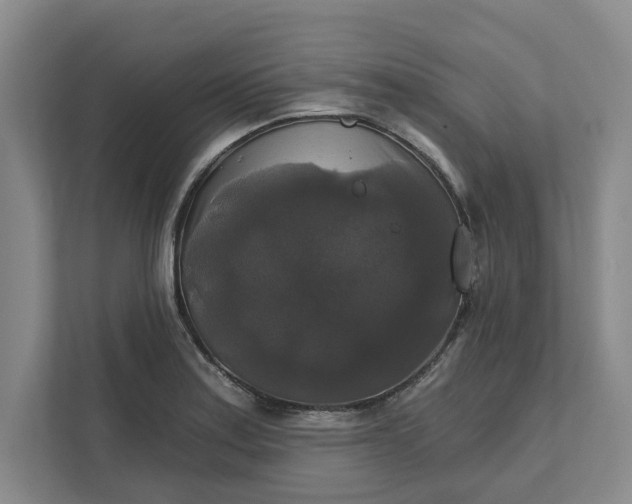 X0000111821179200908061129