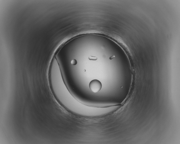 X0000111821181200908061129