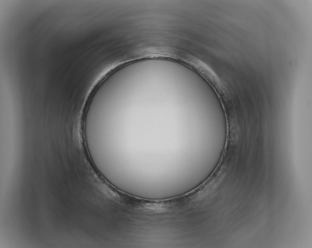 X0000111821182200908061129