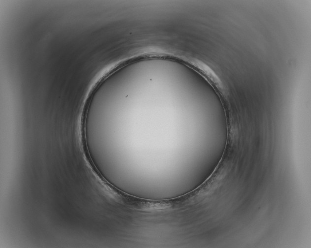 X0000111821183200908061129