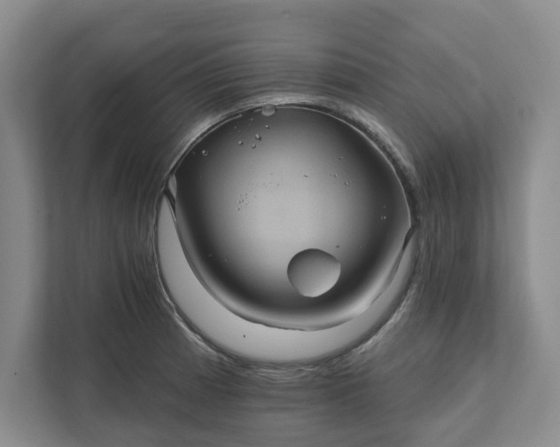 X0000111821185200908061129