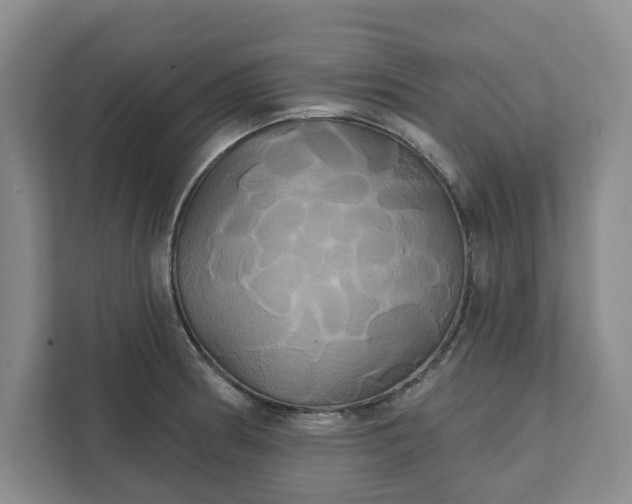 X0000111821186200908061129