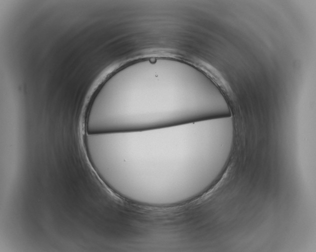 X0000111821188200908061129
