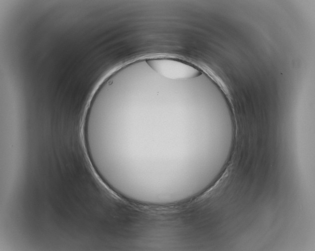 X0000111821189200908061129
