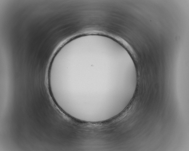 X0000111821191200908061129