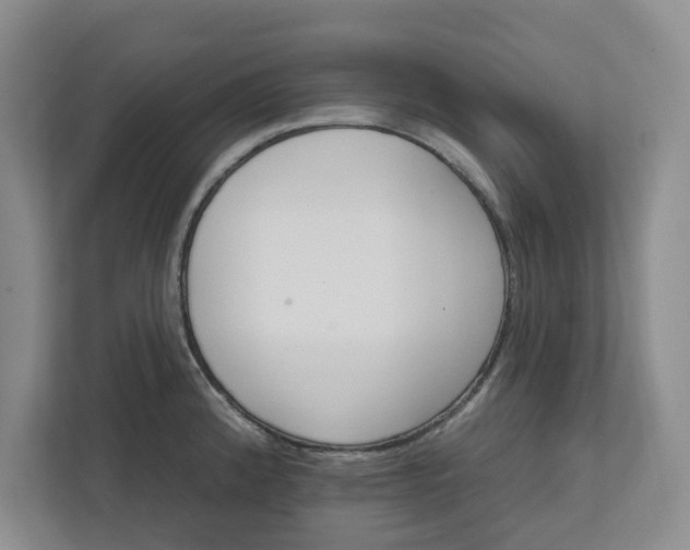 X0000111821192200908061129