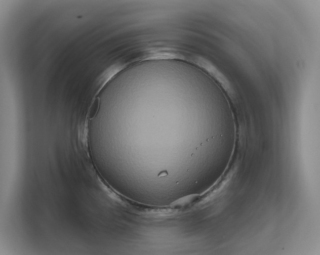 X0000111821193200908061129