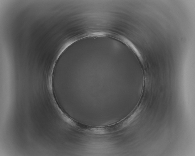 X0000111821194200908061129
