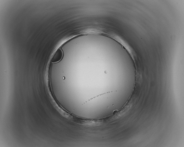 X0000111821195200908061129