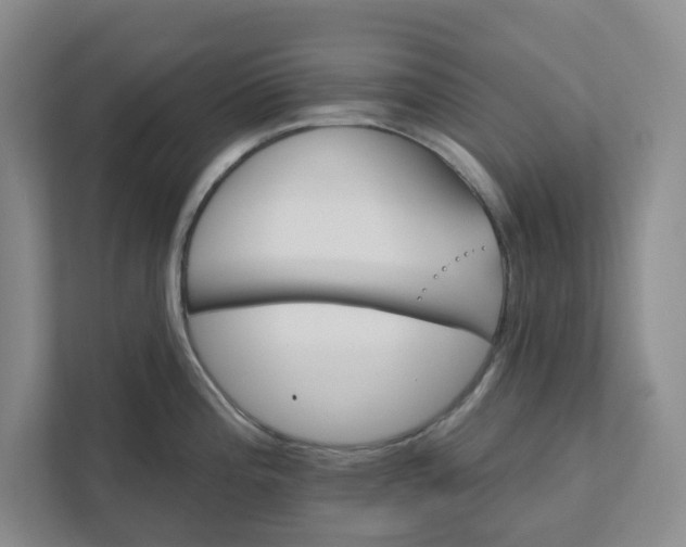 X0000111821196200908061129