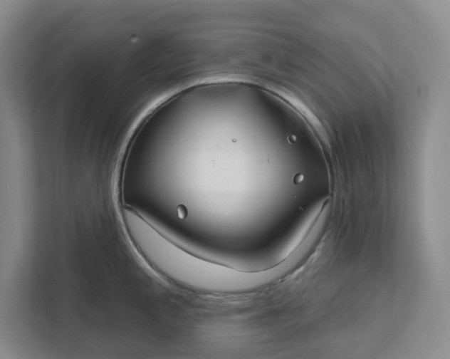X0000111821197200908061129