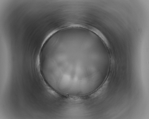 X0000111821198200908061129