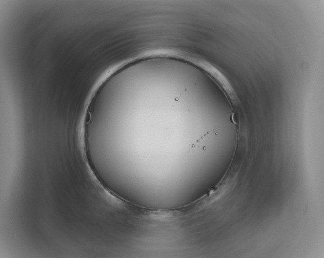 X0000111821199200908061129