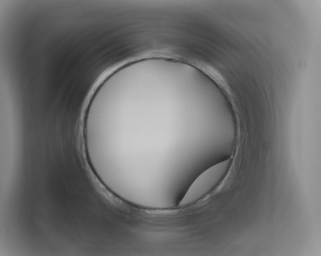 X0000111821200200908061129