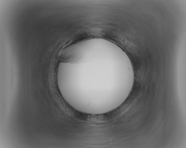 X0000111821201200908061128