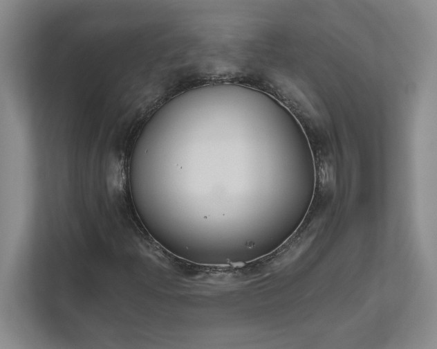 X0000111821204200908061128