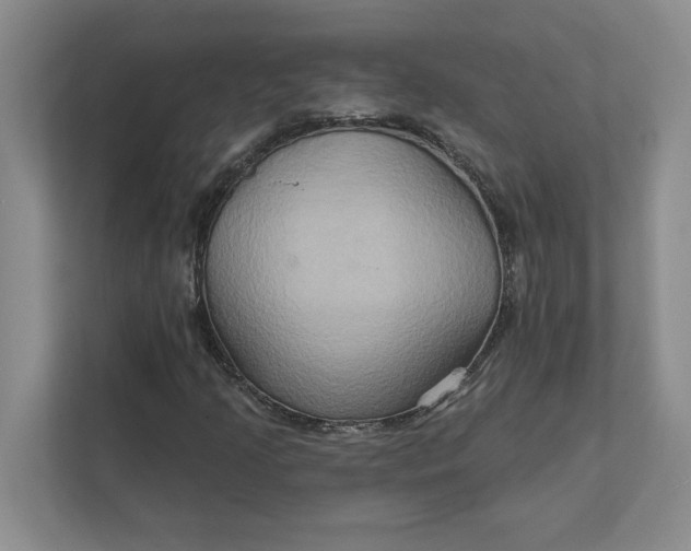 X0000111821205200908061128