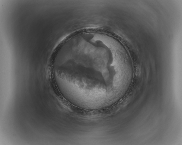 X0000111821208200908061128