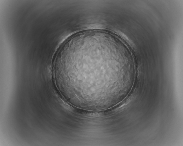 X0000111821212200908061128