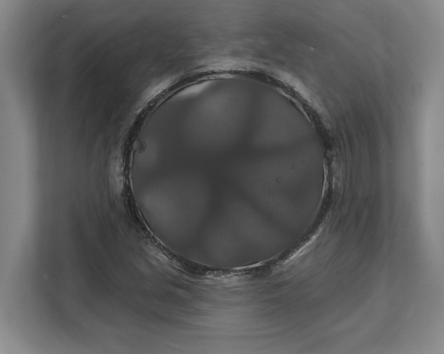 X0000111821213200908061128