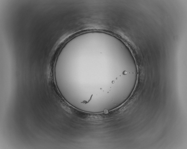 X0000111821215200908061128