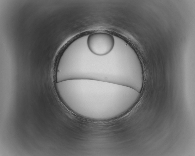 X0000111821216200908061128