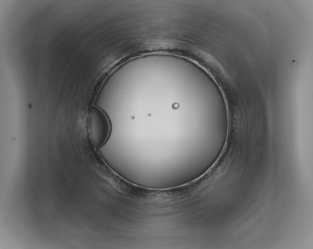 X0000111821217200908061128