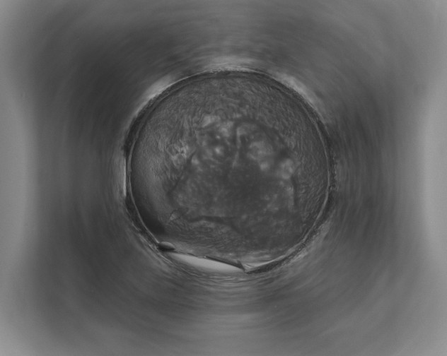X0000111821219200908061128