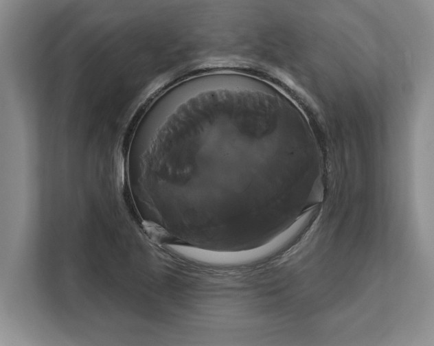 X0000111821221200908061129