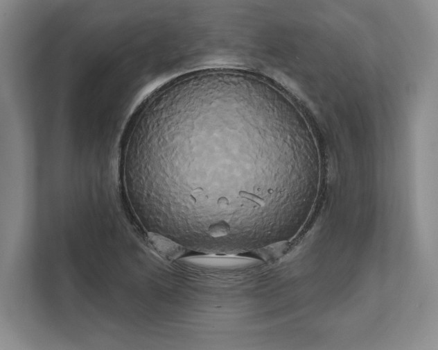 X0000111821222200908061129