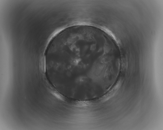 X0000111821223200908061129