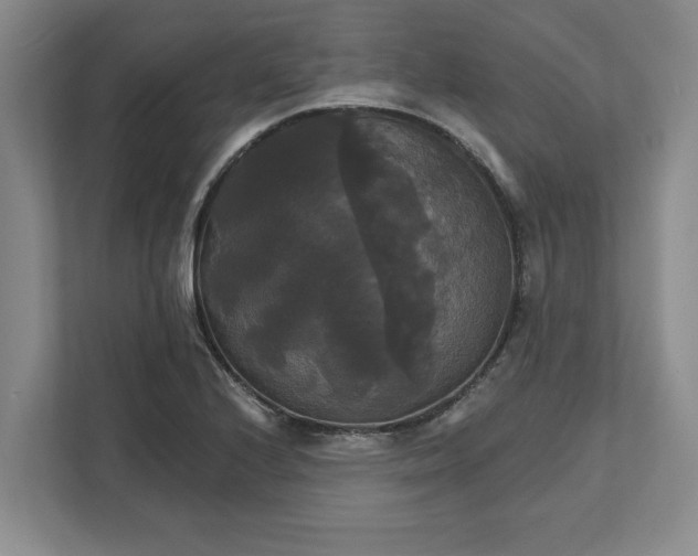 X0000111821224200908061129